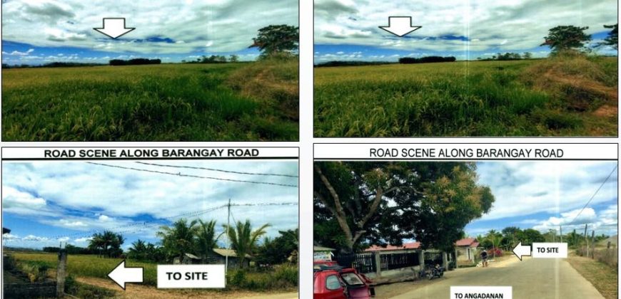 Foreclosed Agricultural Lot in Angadanan, Isabela (PDIC)