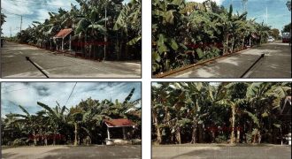 Foreclosed Agricultural Lot in Daanbantayan, Cebu (PDIC)