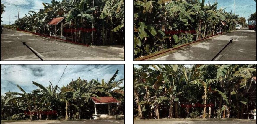Foreclosed Agricultural Lot in Daanbantayan, Cebu (PDIC)