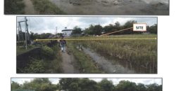 Foreclosed Residential Lot in Victoria, Tarlac (PDIC)