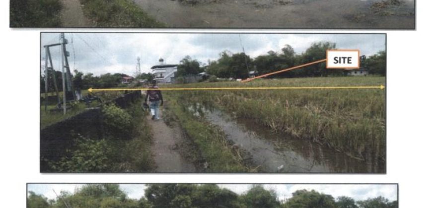 Foreclosed Residential Lot in Victoria, Tarlac (PDIC)