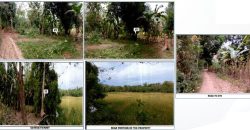 Foreclosed Agricultural Lot in Angadanan, Isabela · Lot 1371-F-3-H (PDIC)