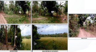 Foreclosed Agricultural Lot in Angadanan, Isabela · Lot 1371-F-3-H (PDIC)