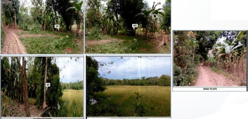 Foreclosed Agricultural Lot in Angadanan, Isabela · Lot 1371-F-3-H (PDIC)