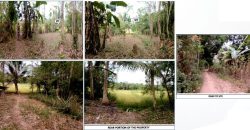 Foreclosed Agricultural Lot in Angadanan, Isabela · Lot 1371-F-3-M (PDIC)