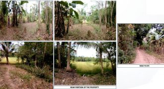 Foreclosed Agricultural Lot in Angadanan, Isabela · Lot 1371-F-3-M (PDIC)