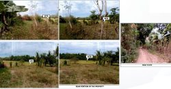 Foreclosed Agricultural Lot in Angadanan, Isabela · Lot 1371-F-3-O (PDIC)