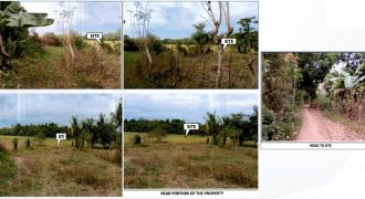 Foreclosed Agricultural Lot in Angadanan, Isabela · Lot 1371-F-3-O (PDIC)