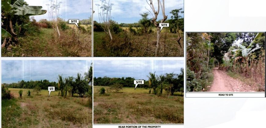 Foreclosed Agricultural Lot in Angadanan, Isabela · Lot 1371-F-3-O (PDIC)