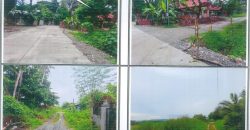 Foreclosed Residential Lot in San Jose, Mindoro Occidental (PDIC)