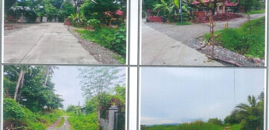 Foreclosed Residential Lot in San Jose, Mindoro Occidental (PDIC)