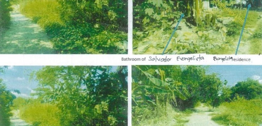 Foreclosed Property in Bautista, Pangasinan, Luzon