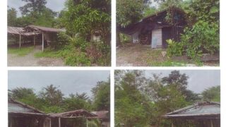 Foreclosed Property in Real, Quezon · Lot No. Q-2-H-2 (PDIC)
