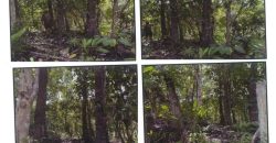 Foreclosed Agricultural Lot in Banga, Aklan, Visayas #3