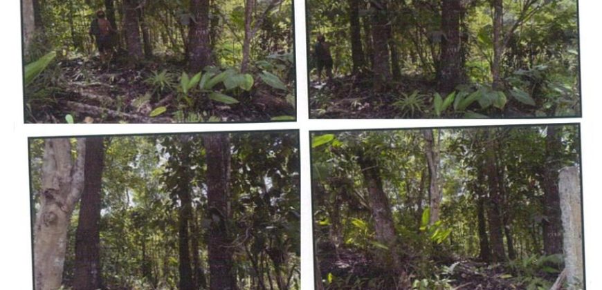 Foreclosed Agricultural Lot in Banga, Aklan, Visayas #3