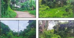 Foreclosed Residential Lot in Taysan, Batangas · Lot 1200-C (PDIC)