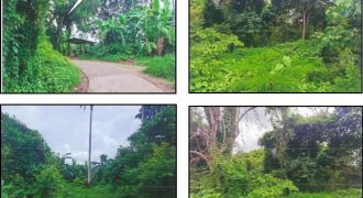 Foreclosed Residential Lot in Taysan, Batangas · Lot 1200-C (PDIC)