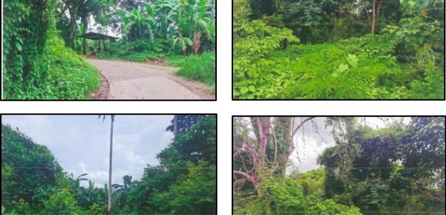 Foreclosed Residential Lot in Taysan, Batangas · Lot 1200-C (PDIC)