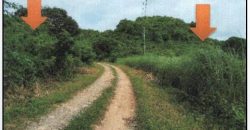 Foreclosed Agricultural Lot in City Of Alaminos City, Pangasinan (PDIC)