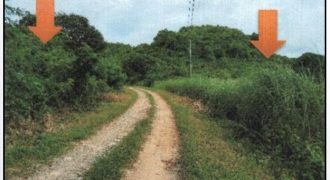 Foreclosed Agricultural Lot in City Of Alaminos City, Pangasinan (PDIC)