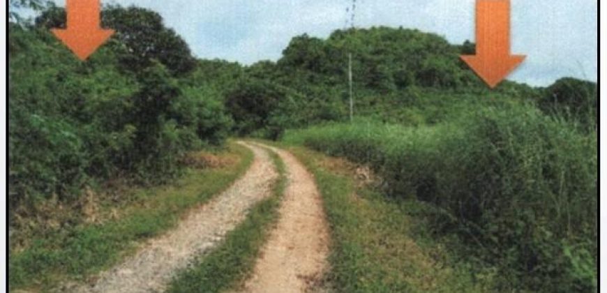 Foreclosed Agricultural Lot in City Of Alaminos City, Pangasinan (PDIC)