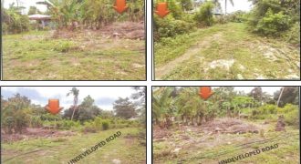 Foreclosed Residential Lot in Tagbilaran City, Bohol · Lot No. 4680 (PDIC)