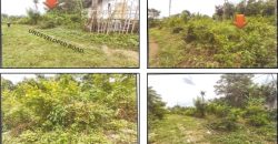 Foreclosed Residential Lot in Tagbilaran City, Bohol, Visayas #4