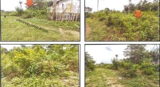 Foreclosed Residential Lot in Tagbilaran City, Bohol · Lot No. 4684-C-2 (PDIC)
