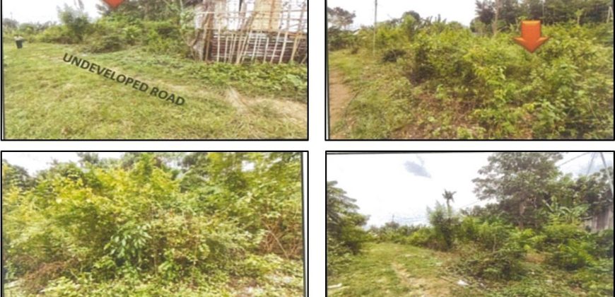 Foreclosed Residential Lot in Tagbilaran City, Bohol, Visayas #4