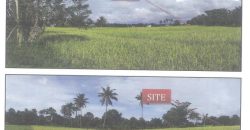 Foreclosed Agricultural Lot in Catigbian, Bohol, Visayas