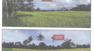Foreclosed Agricultural Lot in Catigbian, Bohol (PDIC)