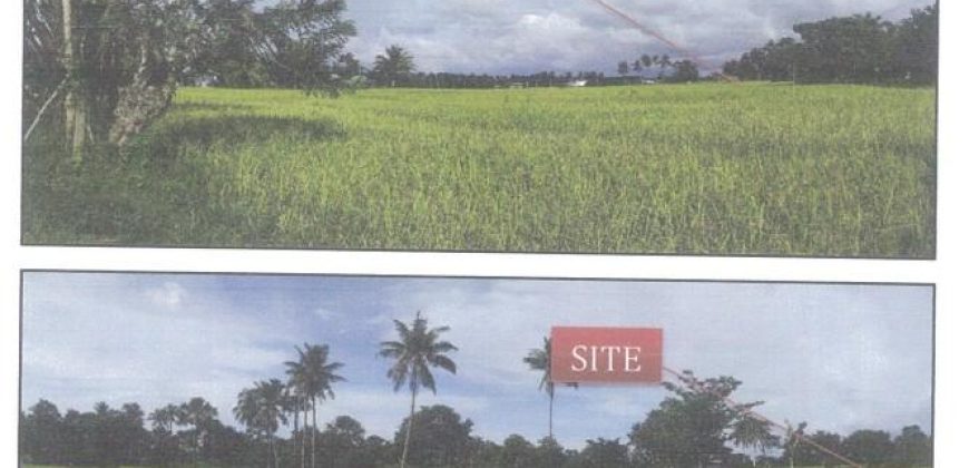 Foreclosed Agricultural Lot in Catigbian, Bohol, Visayas