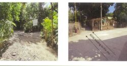 Foreclosed Property in Manaoag, Pangasinan · Lot No. 11038-P (PDIC)