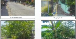 Foreclosed Residential Lot in Bauan, Batangas (PDIC)