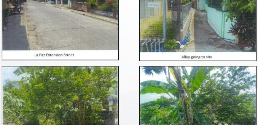 Foreclosed Residential Lot in Bauan, Batangas (PDIC)