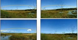 Foreclosed Agricultural Lot in Bani, Pangasinan · Lot 8790 (PDIC)