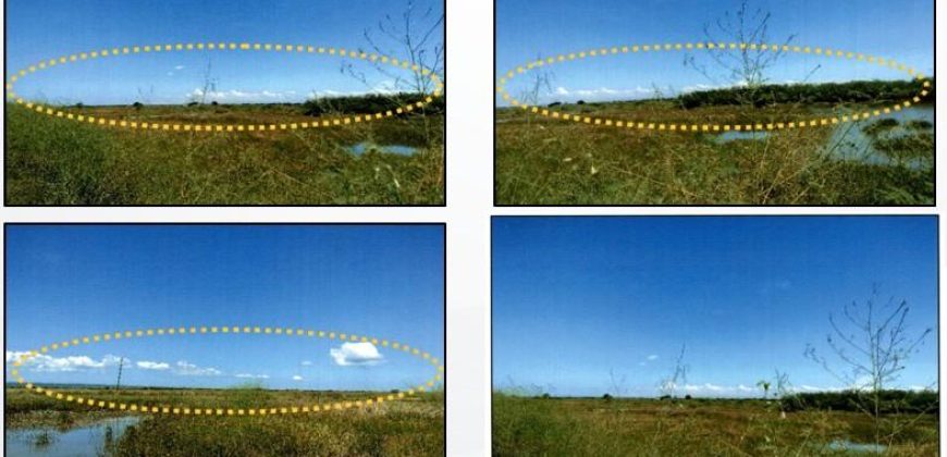 Foreclosed Agricultural Lot in Bani, Pangasinan · Lot 8790 (PDIC)
