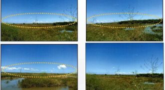 Foreclosed Agricultural Lot in Bani, Pangasinan · Lot 8339-P (PDIC)