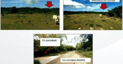Foreclosed Agricultural Lot in Bolinao, Pangasinan (PDIC)