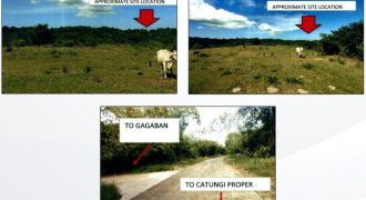 Foreclosed Agricultural Lot in Bolinao, Pangasinan, Luzon