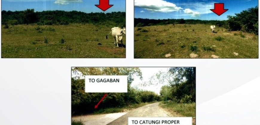 Foreclosed Agricultural Lot in Bolinao, Pangasinan (PDIC)