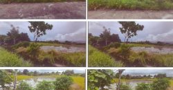 Foreclosed Agricultural Lot in Daet, Camarines Norte (PDIC)