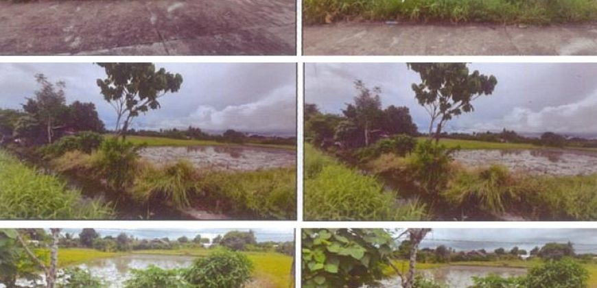 Foreclosed Agricultural Lot in Daet, Camarines Norte (PDIC)
