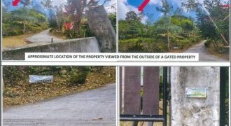 Foreclosed Agricultural Lot in Cuenca, Batangas (PDIC)