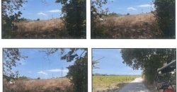 Foreclosed Agricultural Lot in Balayan, Batangas (PDIC)
