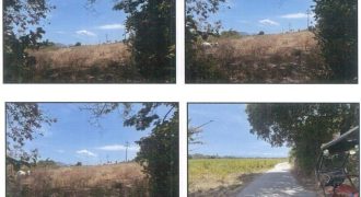 Foreclosed Agricultural Lot in Balayan, Batangas (PDIC)