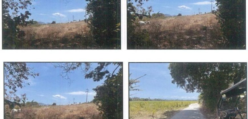 Foreclosed Agricultural Lot in Balayan, Batangas (PDIC)