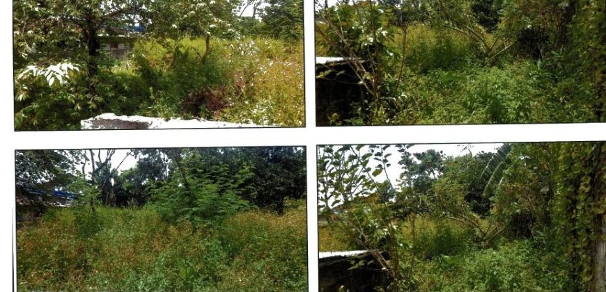 Foreclosed Residential Lot in Lucena, Quezon (PDIC)