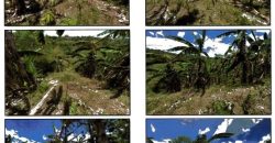 Foreclosed Residential Lot in Norzagaray, Bulacan (PDIC)
