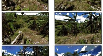 Foreclosed Residential Lot in Norzagaray, Bulacan (PDIC)